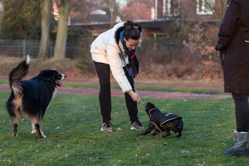 Bild 55 - Hundeshooting